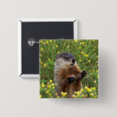 Pose Button (Vorne & Hinten)