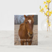 Pose des Pferdes Karte (Gelbe Blume)