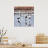 Pose Flamingo Wasserfarbe Poster (Küche)