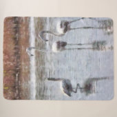 Pose Flamingo Wasserfarbe Sherpadecke (Vorderseite (Horizontal))