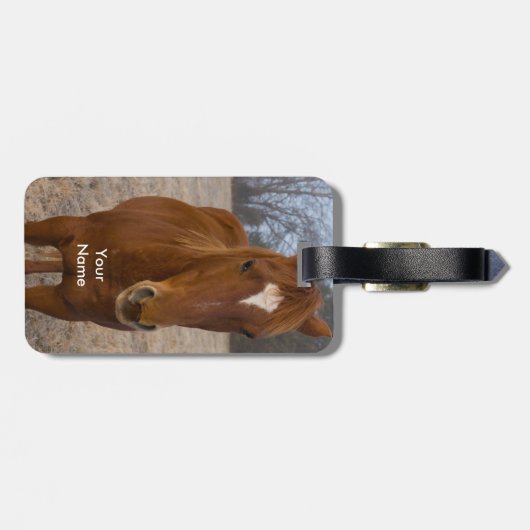 Pose Gepäckanhänger (Rückseite horizontal)