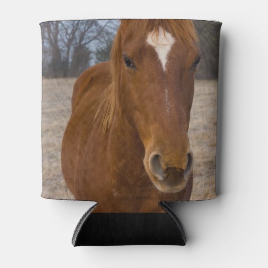 Pose kann kälter werden dosenkühler (Vorderseite)