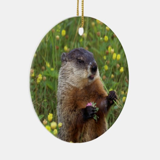 Pose Keramikornament (Rechts)