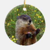 Pose Keramikornament (Hinten)