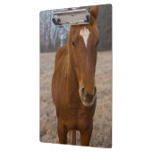 Pose Klemmbrett (Links)