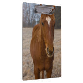 Pose Klemmbrett (Rechts)