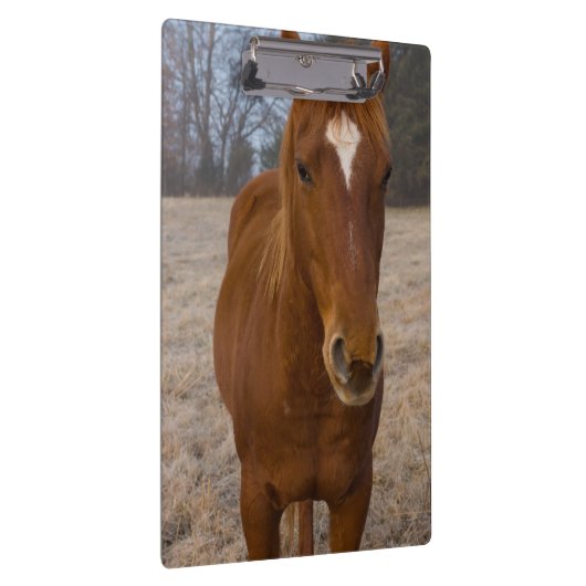 Pose Klemmbrett (Rechts)