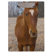 Pose Klemmbrett (Vorderseite)