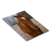 Pose Notizblock (Rechte Seite)