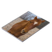 Pose Notizblock (Linke Seite)