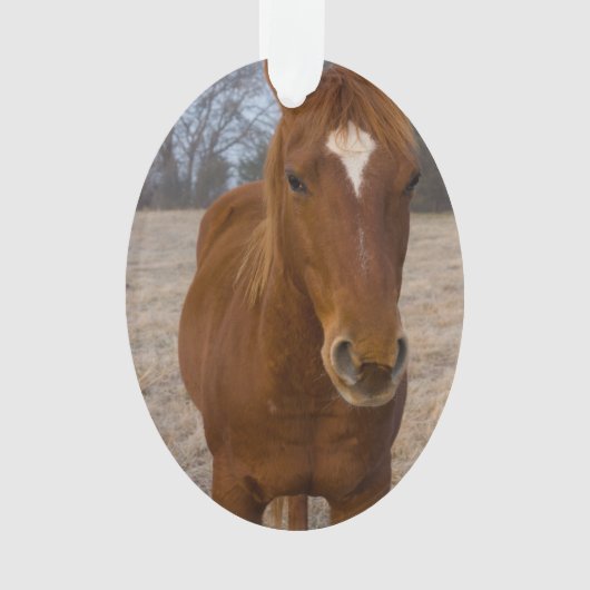 Pose Ornament (Vorderseite)