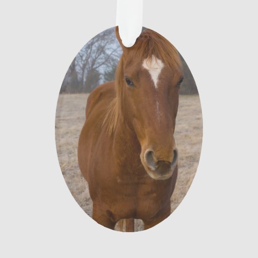 Pose Ornament (Rückseite)