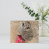Pose wie ein Huhn Postkarte (Stehend Vorderseite)