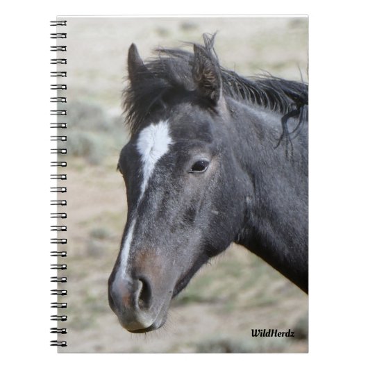 Poseidon-Notebook von Sand Wash Basin Notizblock (Vorderseite)