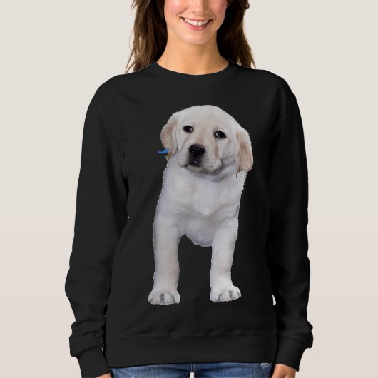 Posen Labrador Retriever Sweatshirt (Vorderseite)