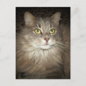 Posen Postkarte (Vorderseite)