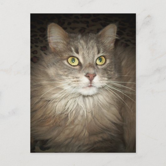 Posen Postkarte (Vorderseite)