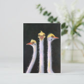 Posers Postkarte (Stehend Vorderseite)