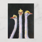 Posers Postkarte (Vorderseite)