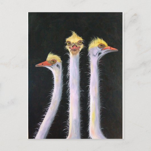 Posers Postkarte (Vorderseite)