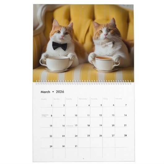 Posh Cat Calendar 2025 Katze Kalender (Mär 2026)