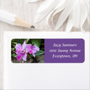 Posh Lila Orchids-Adressenaufschrift