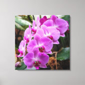 Posh Lila Orchids Stretched Canvas Print Leinwanddruck (Vorderseite)
