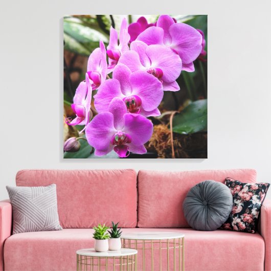 Posh Lila Orchids Stretched Canvas Print Leinwanddruck (Insitu (Wohnzimmer))