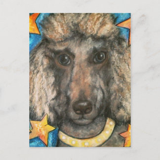 Posh Poodle Postkarte