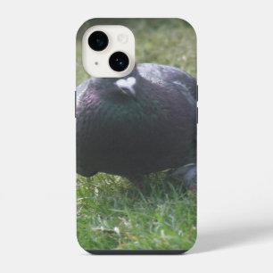 Posierende Taube iPhone Hülle