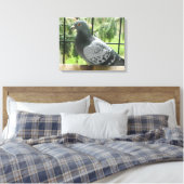 Posierende Taube Leinwanddruck (Insitu (Schlafzimmer))