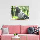 Posierende Taube Leinwanddruck (Insitu (Wohnzimmer))