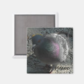 Posierende Taube Magnet (Vorderseite/Rückseite)