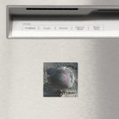 Posierende Taube Magnet (In Situ (Geschirrspüler))