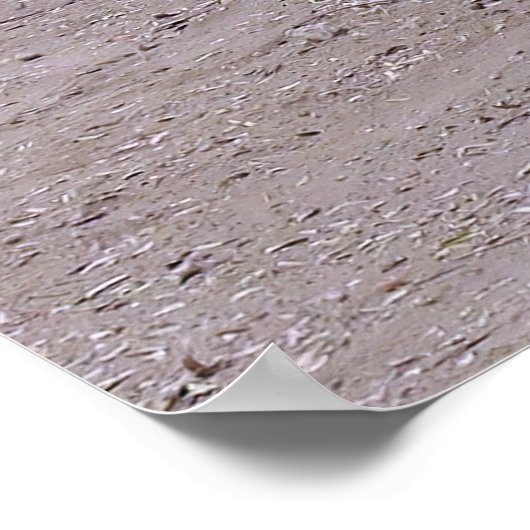 Posing Dragon Poster (Ecke)