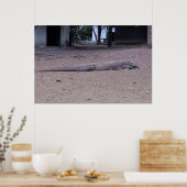 Posing Dragon Poster (Küche)