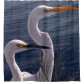 Posing Egrets Duschvorhang (Vorderseite)