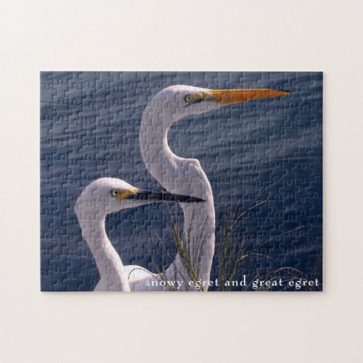Posing Egrets Puzzle (Horizontal)