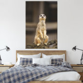 Posing Meerkat Leinwanddruck (Insitu (Schlafzimmer))