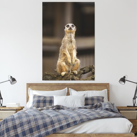Posing Meerkat Leinwanddruck (Insitu (Schlafzimmer))