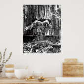 POSING mit einem GIANT REDWOOD c. 1889 Poster (Küche)