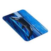 Posing Orca Flexible Magnet (Rechte Seite)