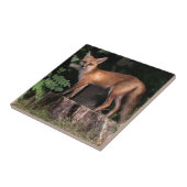 Posing Red Fox Fliese (Seite)