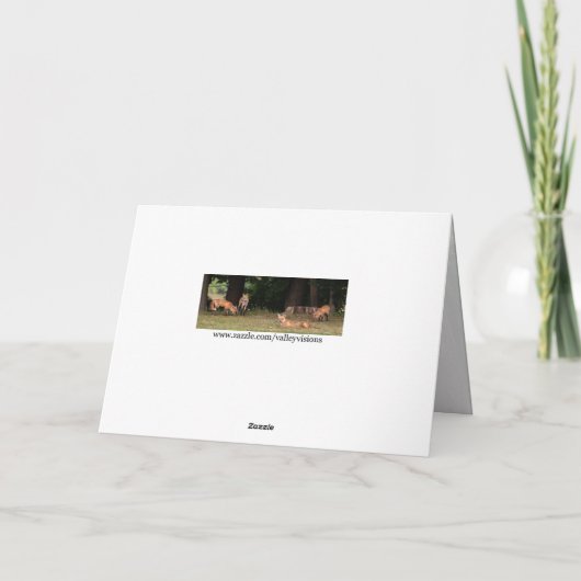 Posing Red Fox Karte (Rückseite)