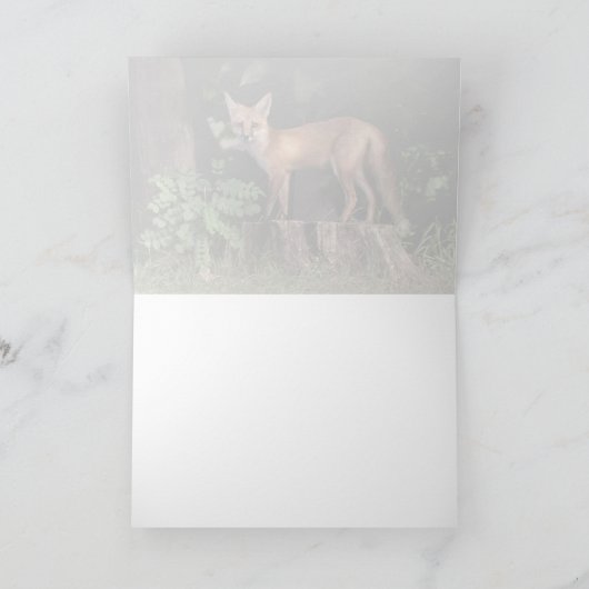 Posing Red Fox Karte (Innenseite)