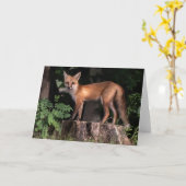 Posing Red Fox Karte (Gelbe Blume)
