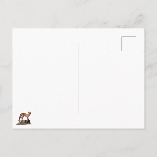 Posing Red Fox Postkarte (Rückseite)