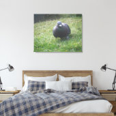Posing Taube Canvas Print Leinwanddruck (Insitu (Schlafzimmer))