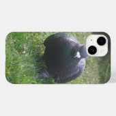 Posing-Taube Case-Mate iPhone Hülle (Rückseite (Horizontal))