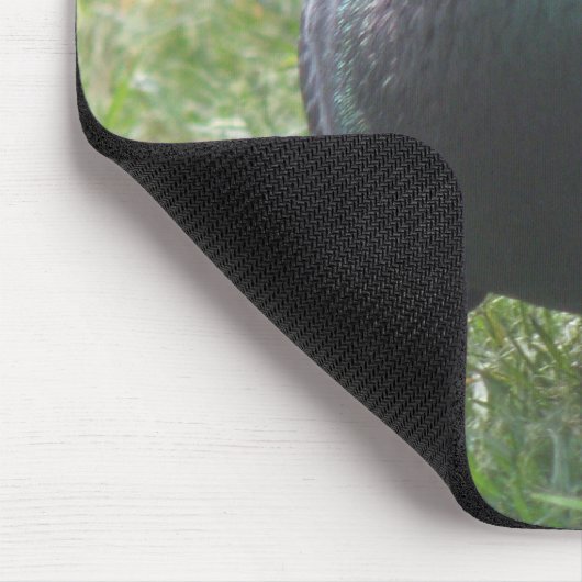 Posing Taube Mousepad (Ecke)